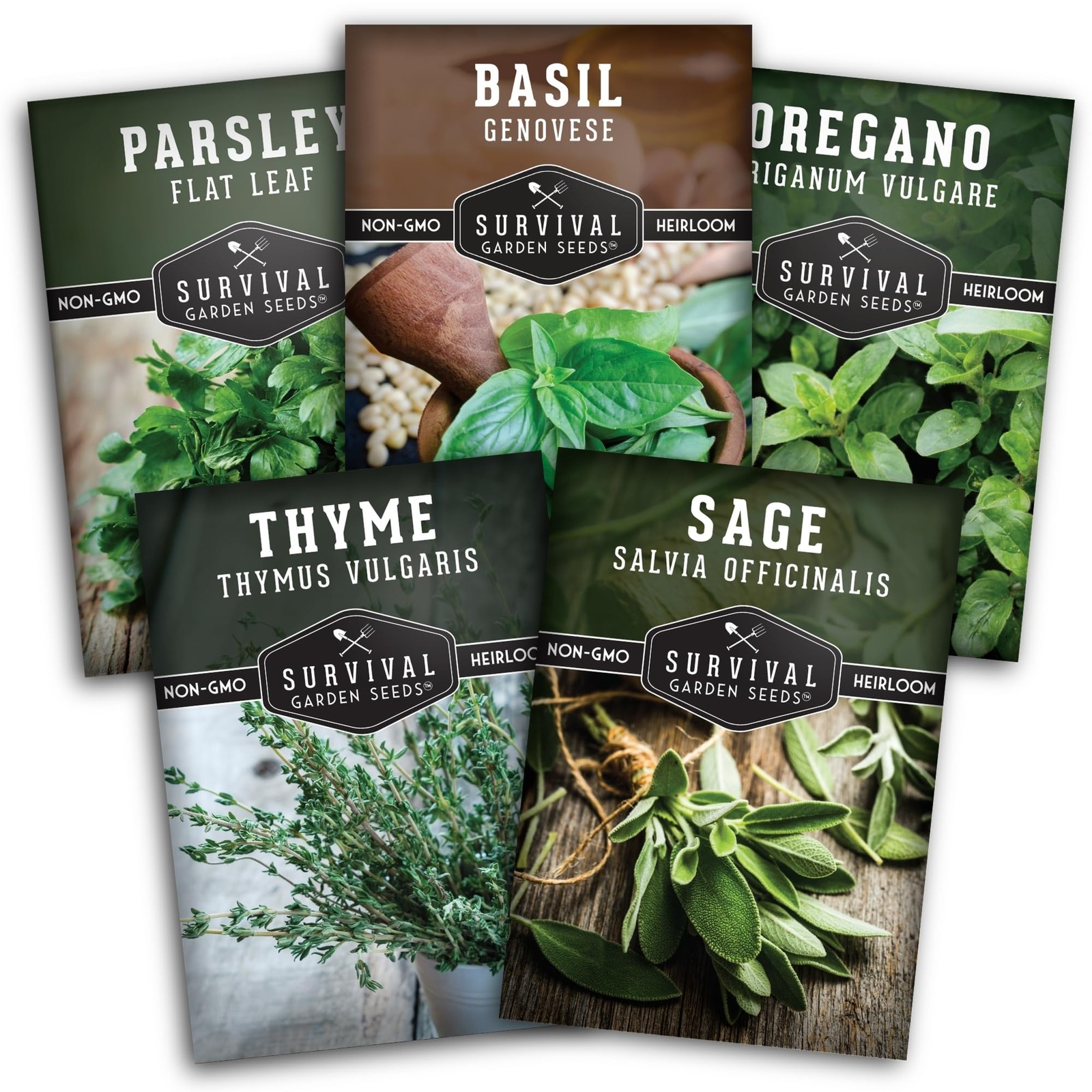 Survival Garden Seeds Italian Herb Collection Seed Vault Basil, Oregano, Th…