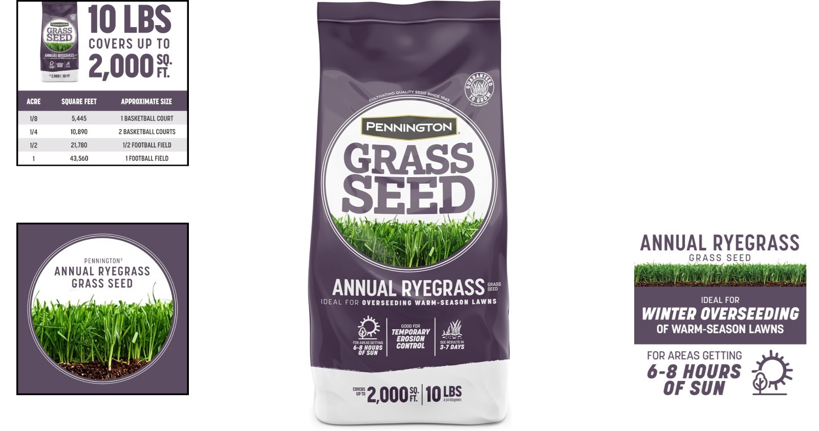 Fast-Growing Annual Ryegrass Seed, 10 Lb – Disease-Resistant Lawn Solution