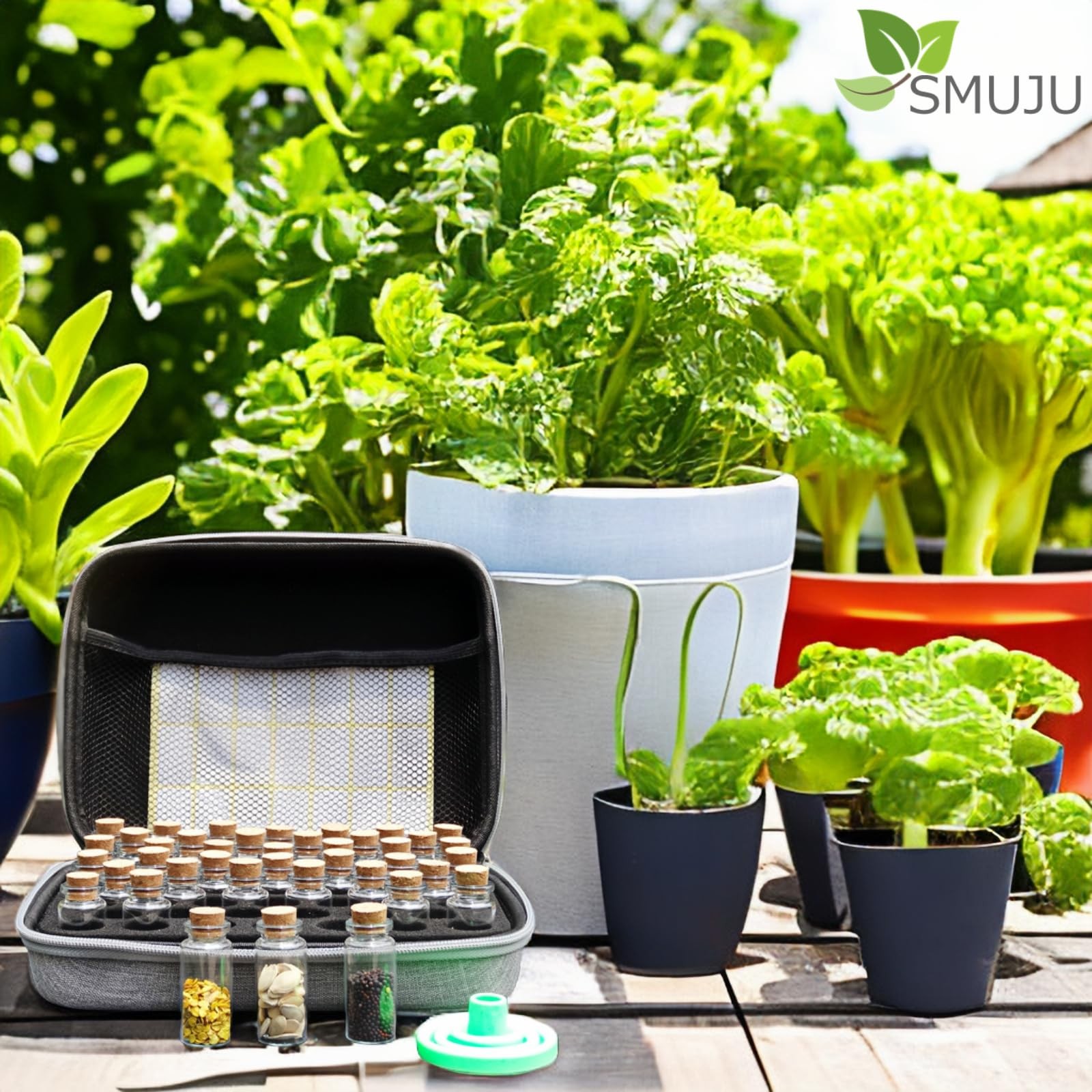 60 Slots Garden Seed Storage Organizer Box for Garden Plants Seed Container