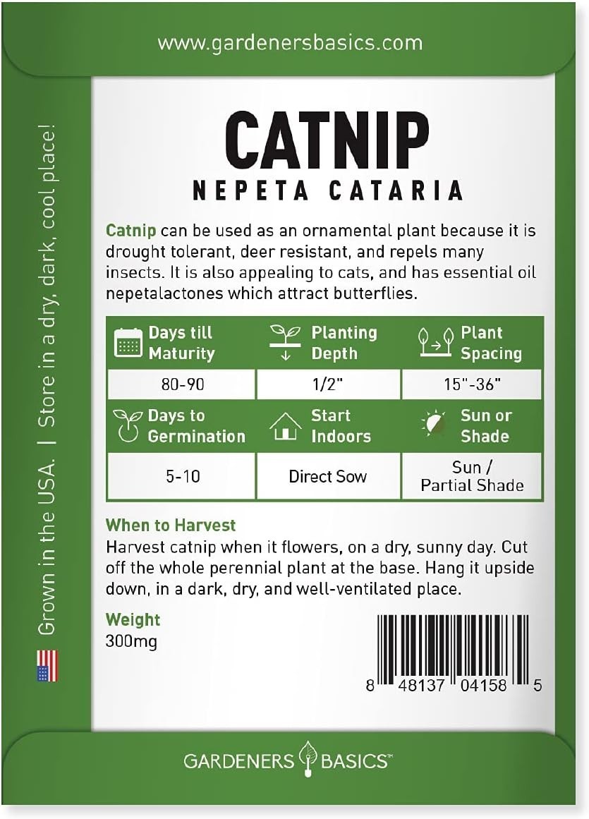 Nepeta Cataria Seeds – Heirloom & Non-GMO for Cat Happiness Indoors or Outdoors