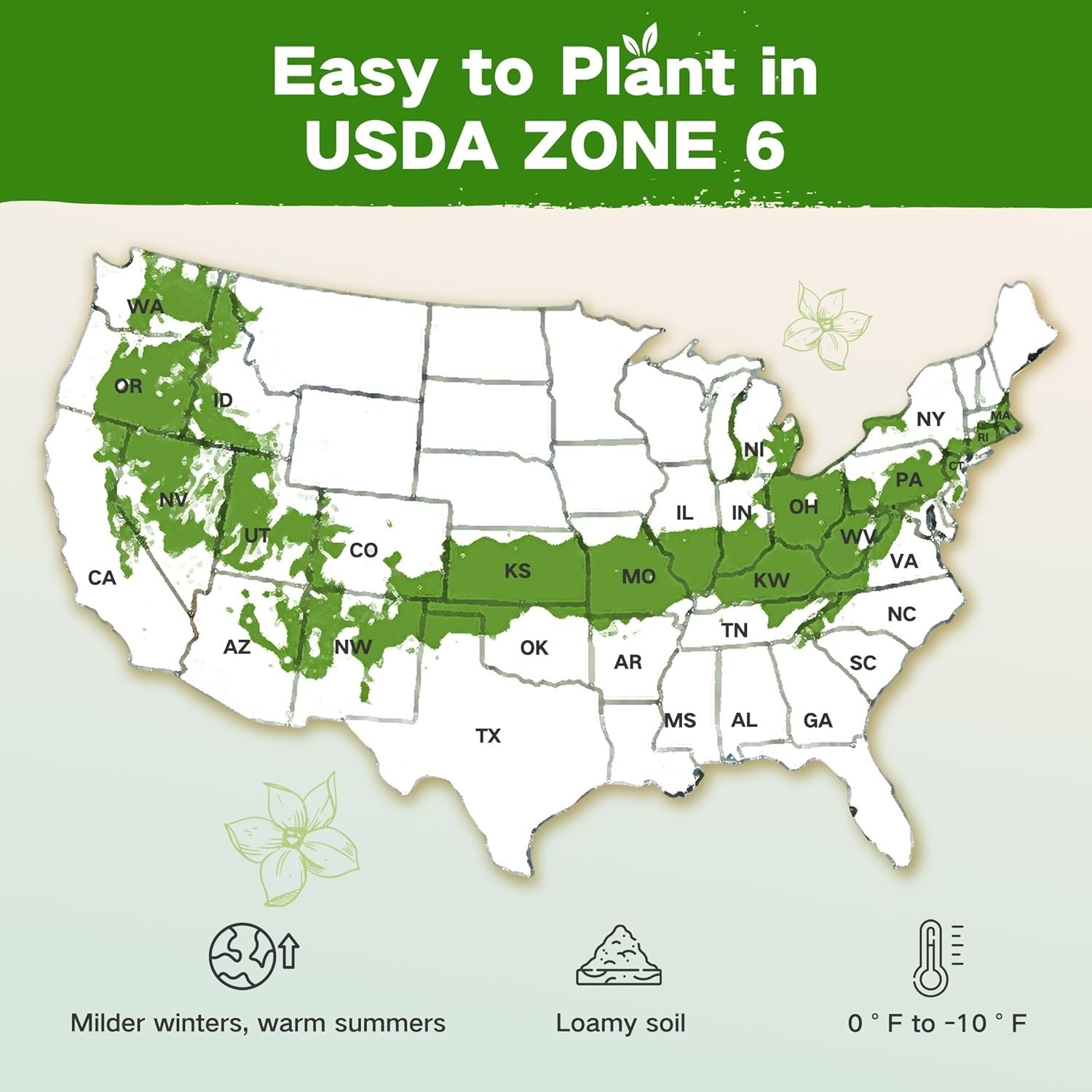 -Round Heirloom Vegetable and Herb Seed Kit with 32 Varieties USDA Zone 6