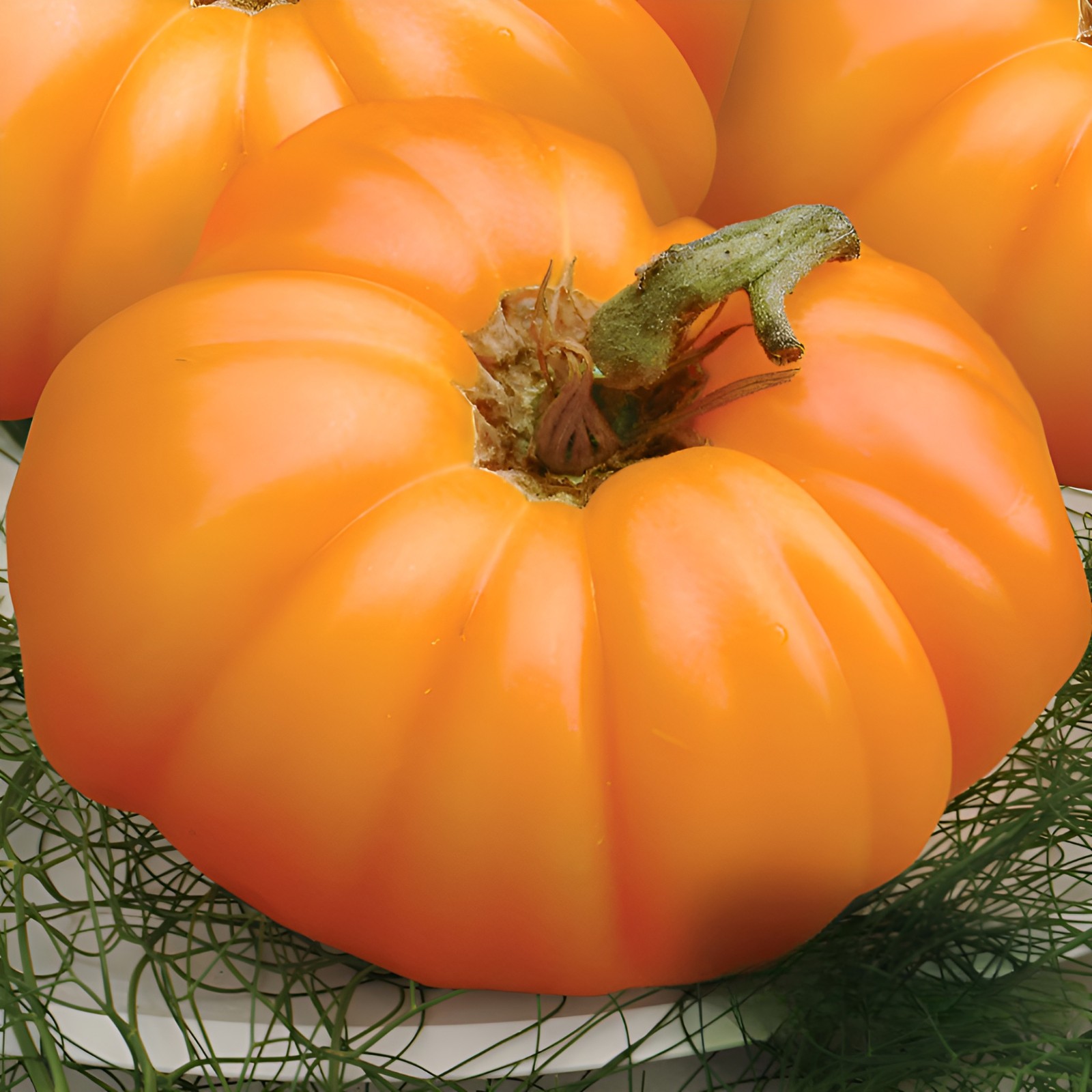 100 Heirloom Persimmon Tomato Seeds – Large 1-2lb Indeterminate Orange Beefsteak