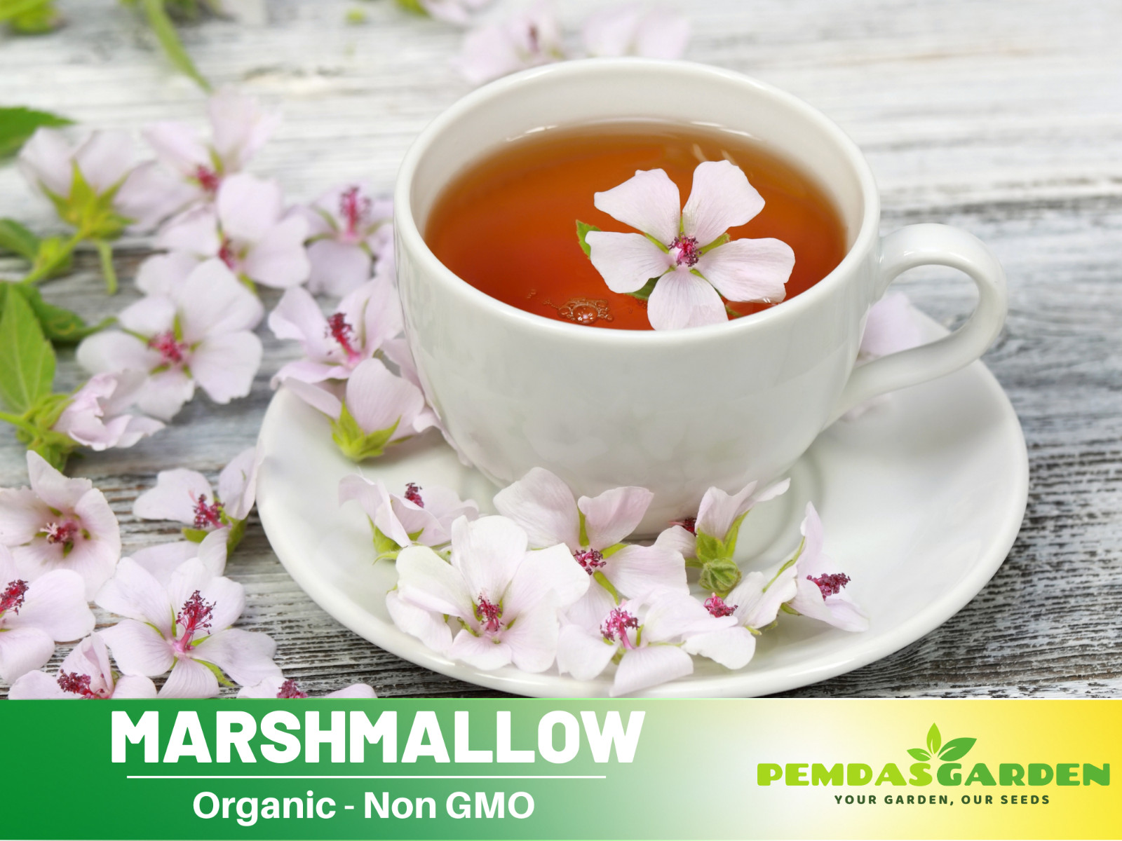 30 seeds| Marshmallow Flower Herb seeds #6002