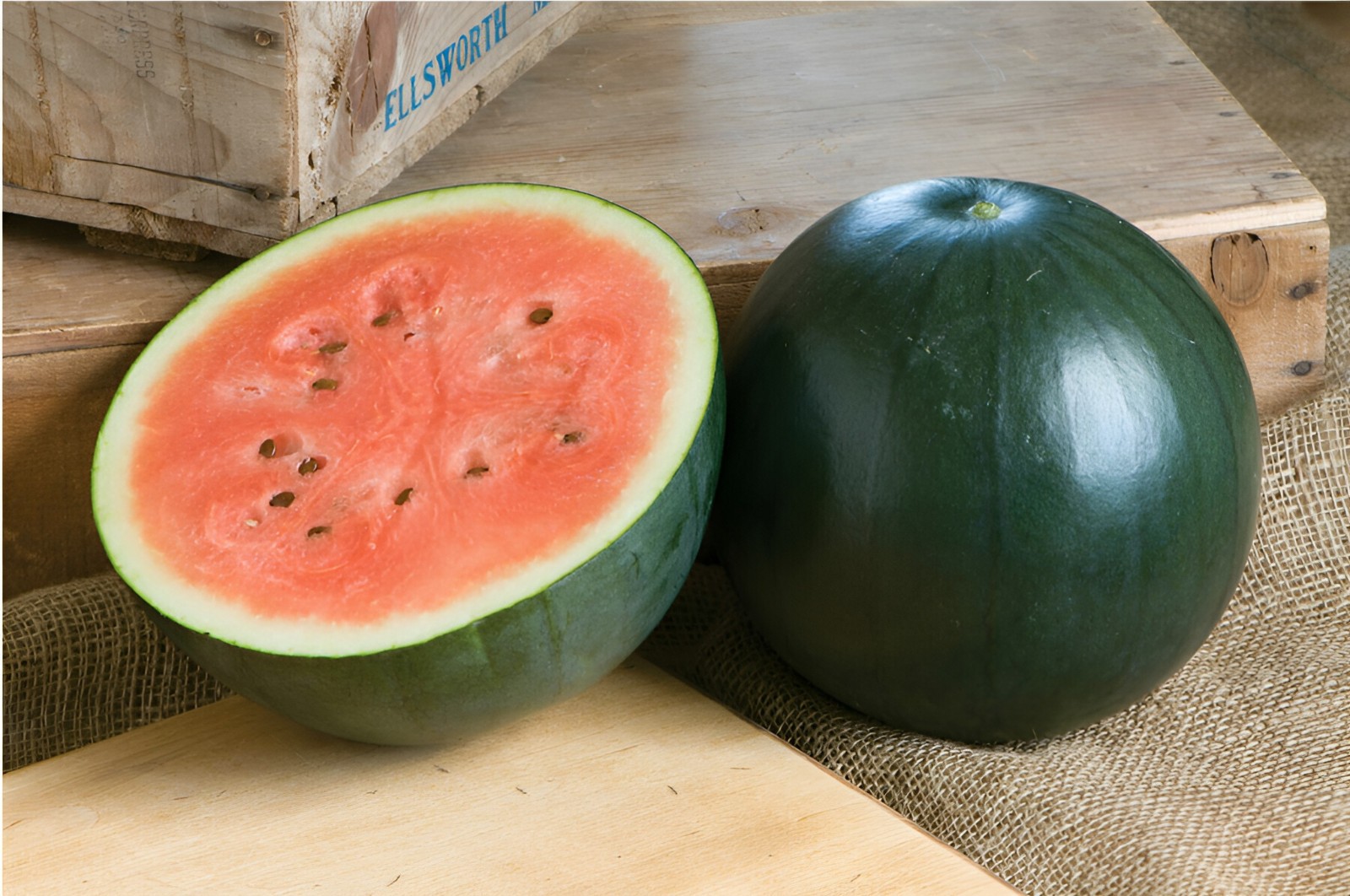 40 Organic Heirloom Sugar Baby Watermelon Seeds – Sweet Garden Classic 6-10 LBs