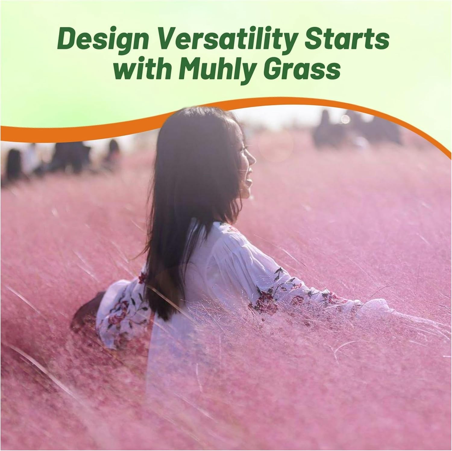100 Seeds Pink Muhly Drought Tolerant Xeriscape Ornamental Grass Plant Seed