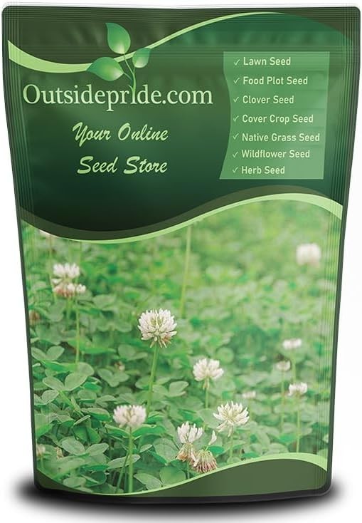 10 lb Nitrocoated White Clover Seed – Drought Tolerant Lawn Alternative