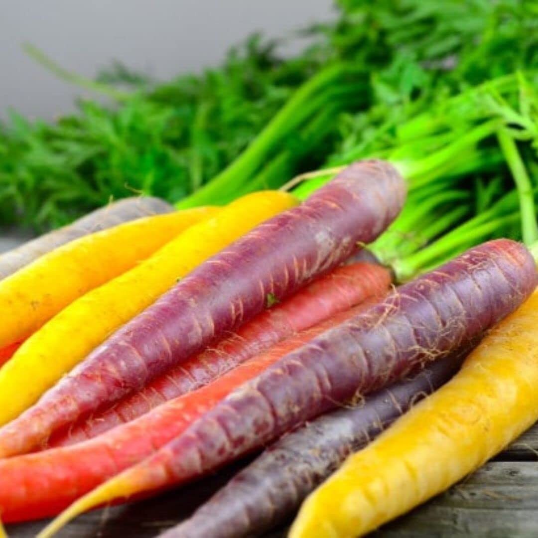 Rainbow Carrot Seeds for Planting | Non-GMO & Heirloom Vegetable Seeds | 750 Car
