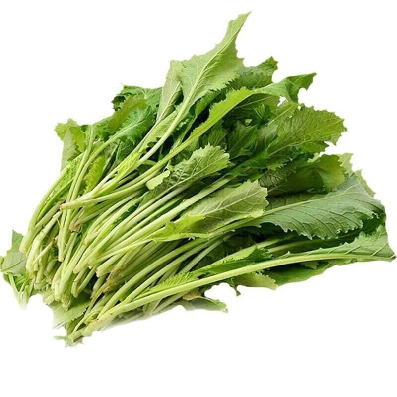 100+ Chinese Veg Seeds SnowRed/Chinese Mustard -Spring & Fall 雪里蕻, FREE SHIPPING