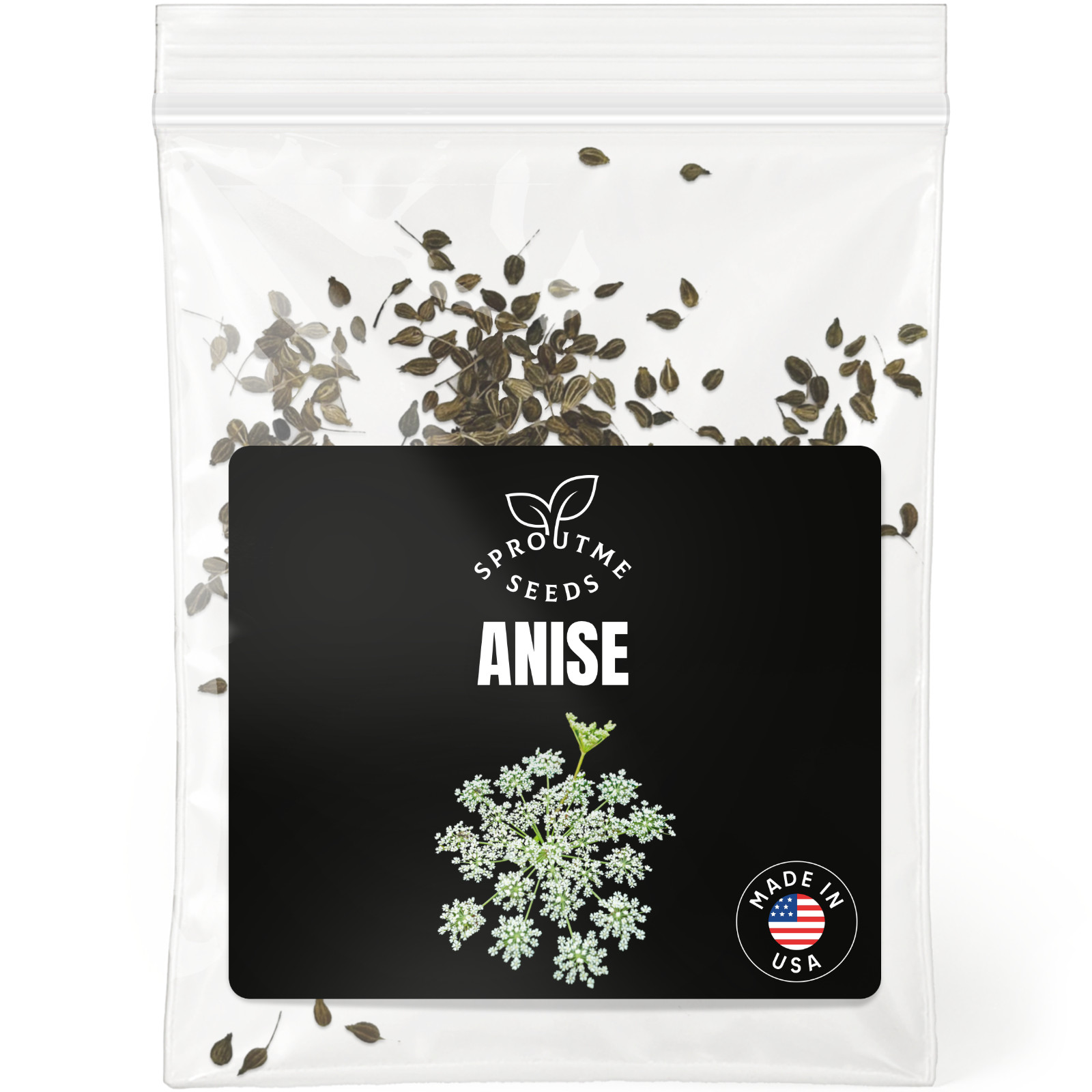 Anise Seeds 200+, Heirloom Non-GMO, Aromatic Herb for Tea & Baking