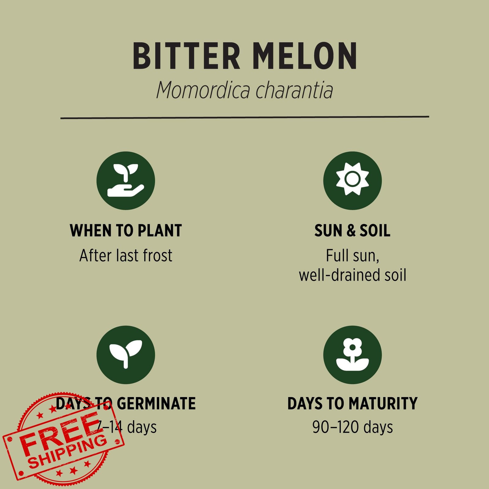 Banyan Botanicals Organic Bitter Melon Seeds Momordica Charantia Culinary Gourd