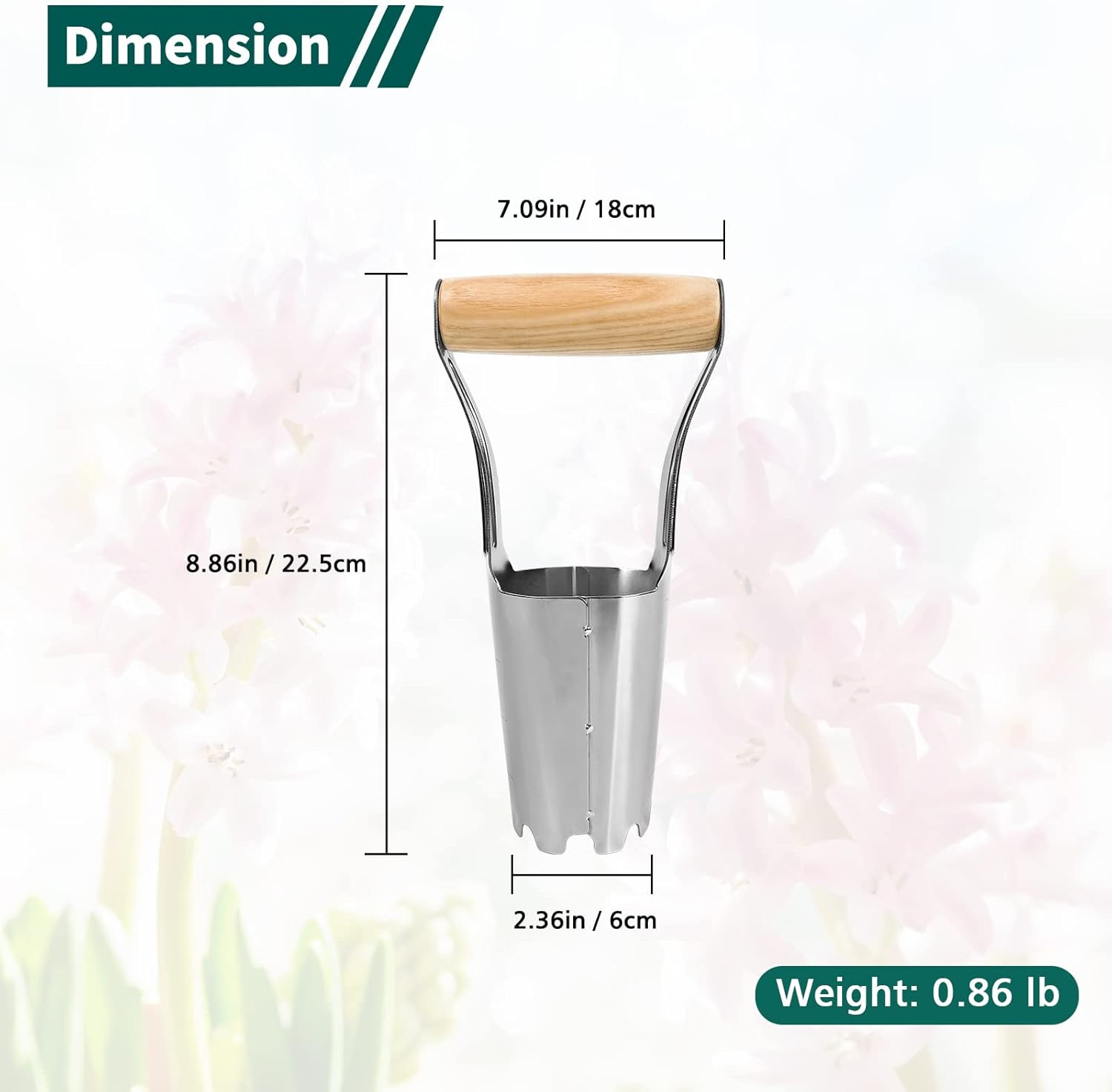 Berry& Garden Bulb Planter with 4 Inches Depth Mark, Stainless Steel Gardening B