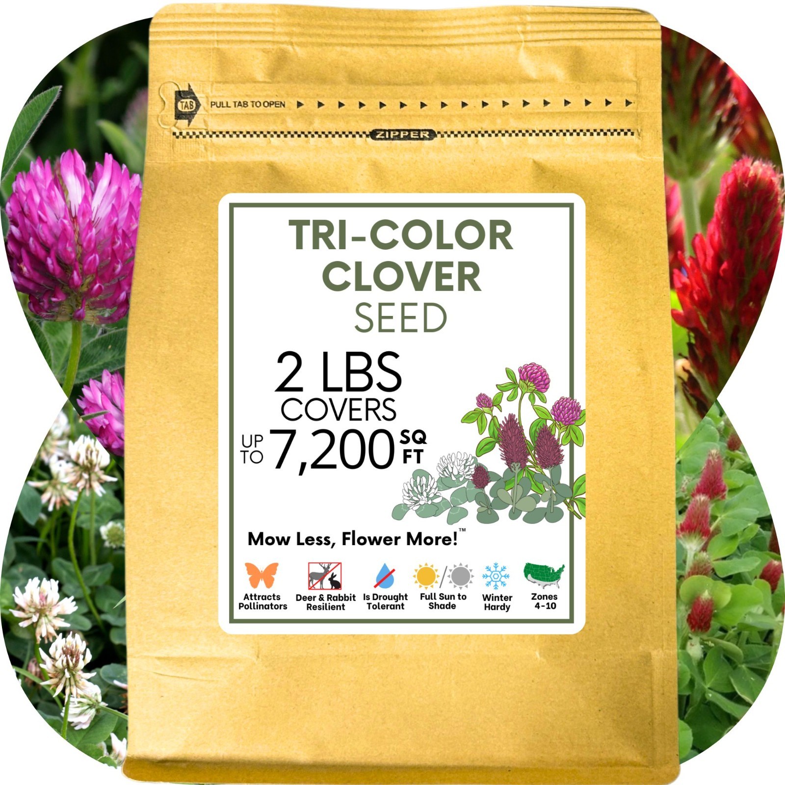 Flawn Seed Kits Tri-Color Clover Seed, Equal Mix 3 Clovers, Flowering Lawn