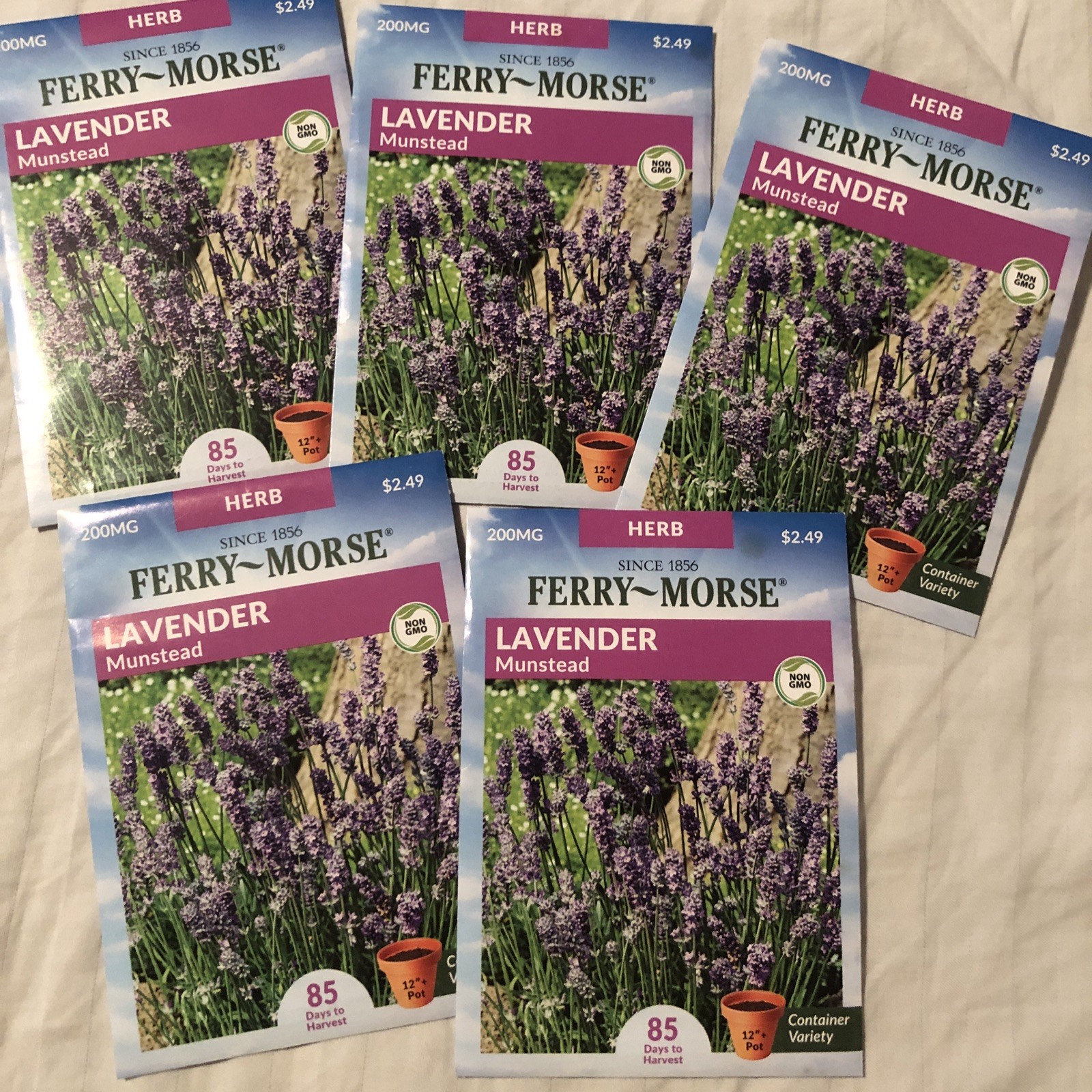 5 packs LAVENDER Herb Seeds FERRY-MORSE – Munstead, Container Variety NEW 2025