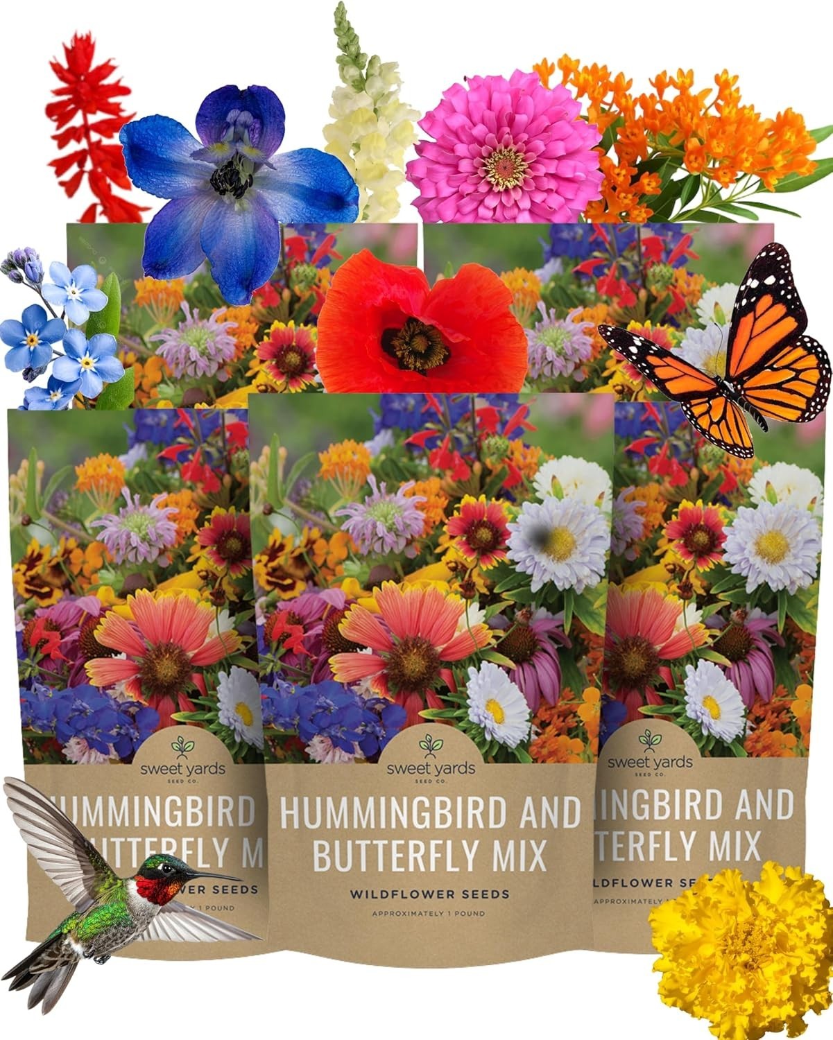 Wildflower Seeds Bulk – Butterfly Hummingbird Mix, 5 Pounds