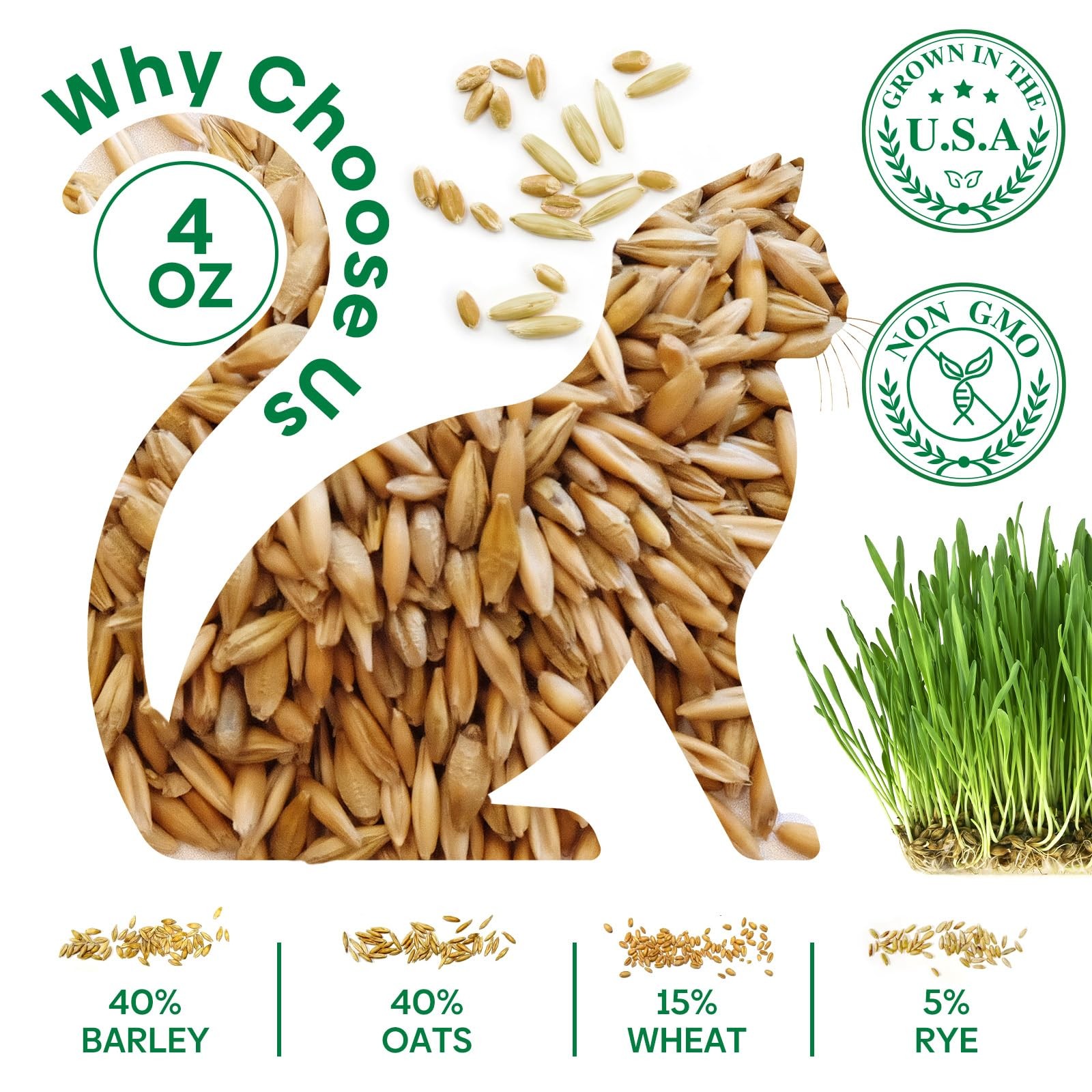 Cat Grass Seeds, Barley, Oats, Wheat, Rye 4 Varieties, Non-GMO Grow in 4-7 Days