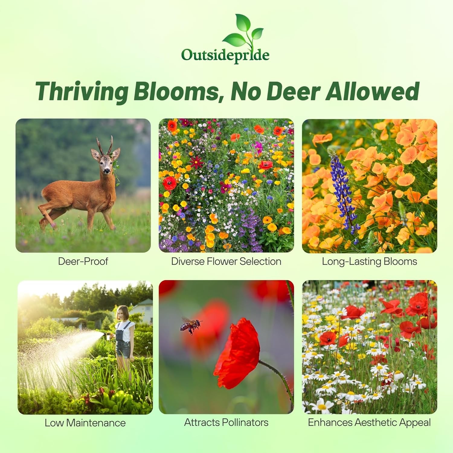 1 LB Deer Resistant Wild Flower Seed Mix – available in bulk