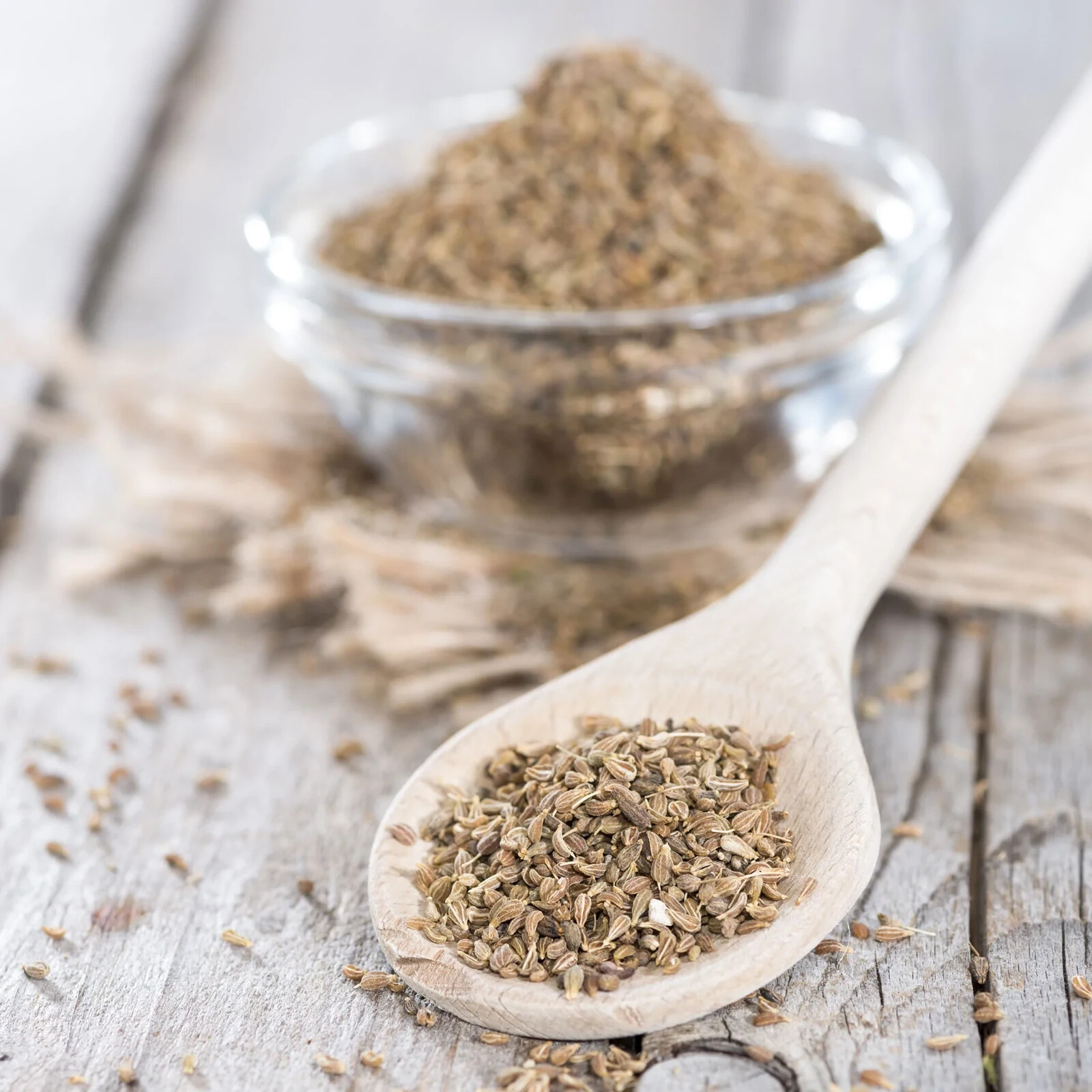 1000 ANISE SEEDS Non-GMO USA SELLER