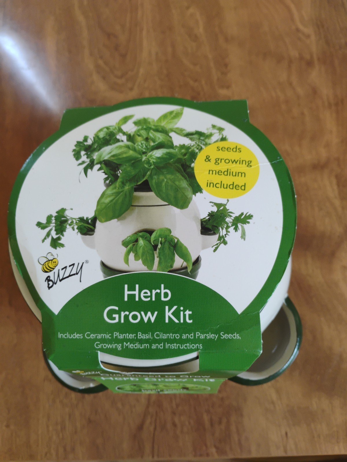 Buzzy Herb Grow Kit Includes Ceramic Planter, Basil, Cilantro, And Parsley…