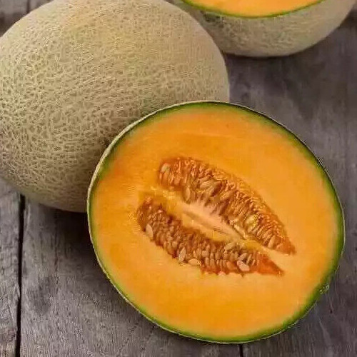 25+ –Hale’s Best –Heirloom Cantaloupe Seeds –Non-GMO — Free Shipping USA