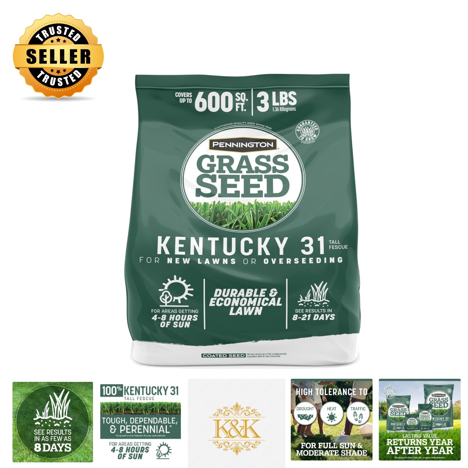 Pennington Kentucky 31 3 LB Tall Fescue Grass Seed – Low-Maintenance Lawn Care