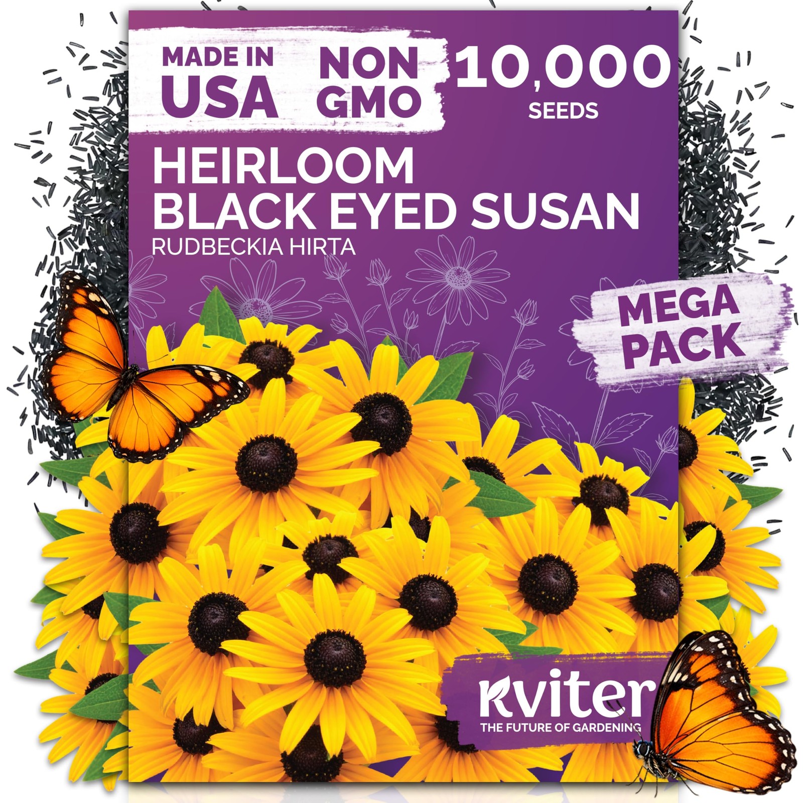 KVITER 10,000 Black Eyed Susan Seeds for Planting (Rudbeckia hirta)