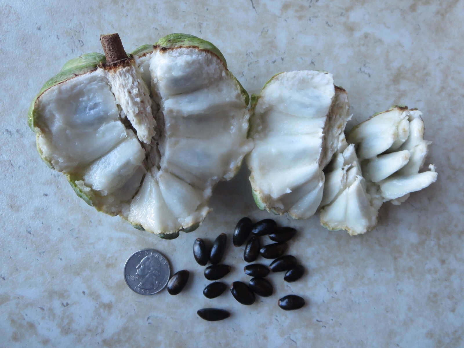 Sugar Apple Annona Squamosa Fruit Organic 10 Seeds Florida Grown Harvested 2024