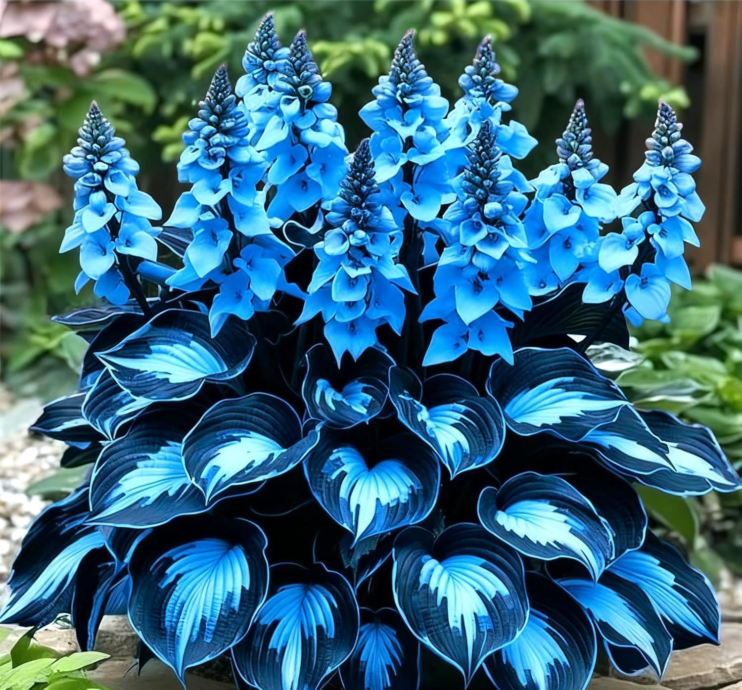 110 Pcs Fragrant Hosta Flower Seeds for Planting Easy Growing Perennial Shade Pl