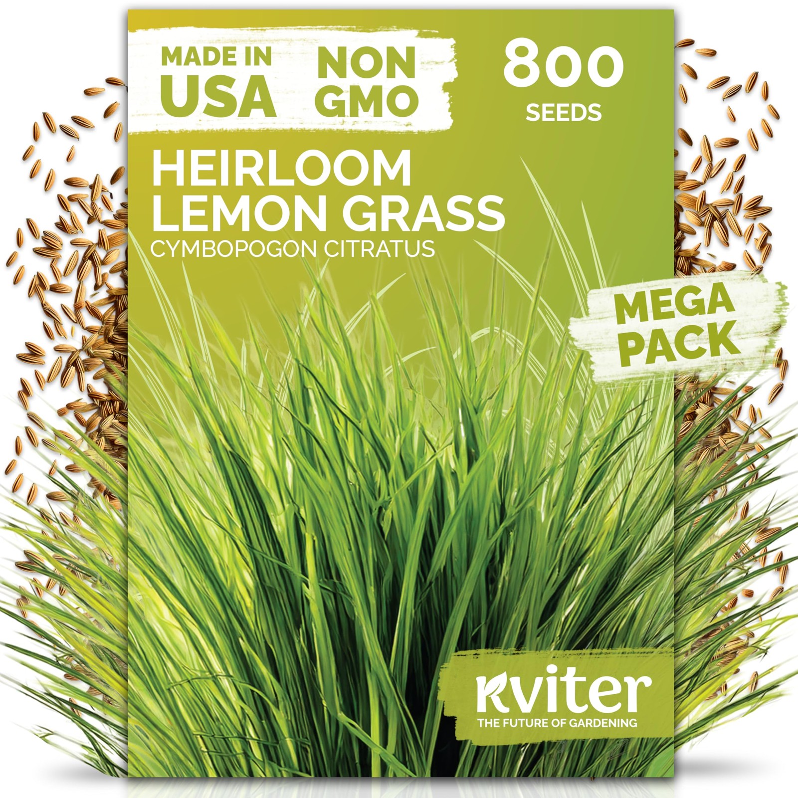 KVITER 800 Lemongrass Seeds (Cymbopogon flexuosus)