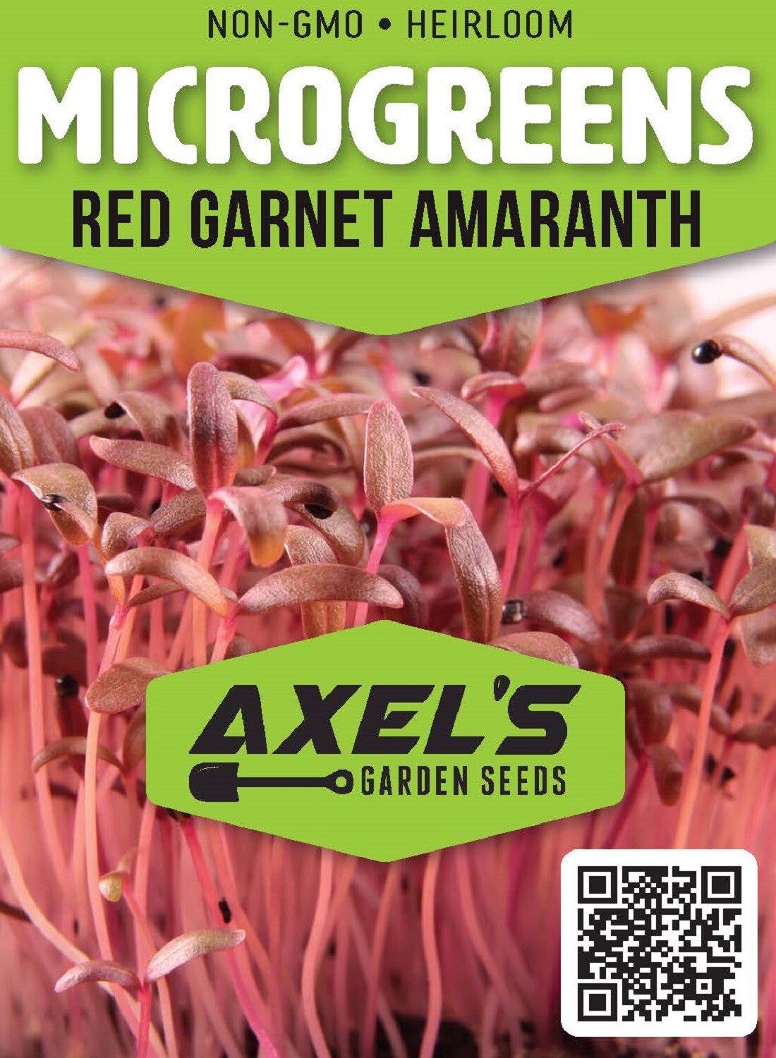 Red Garnet Amaranth MICROGREEN Seeds | Non-GMO | Heirloom | Seeds for Sprouting