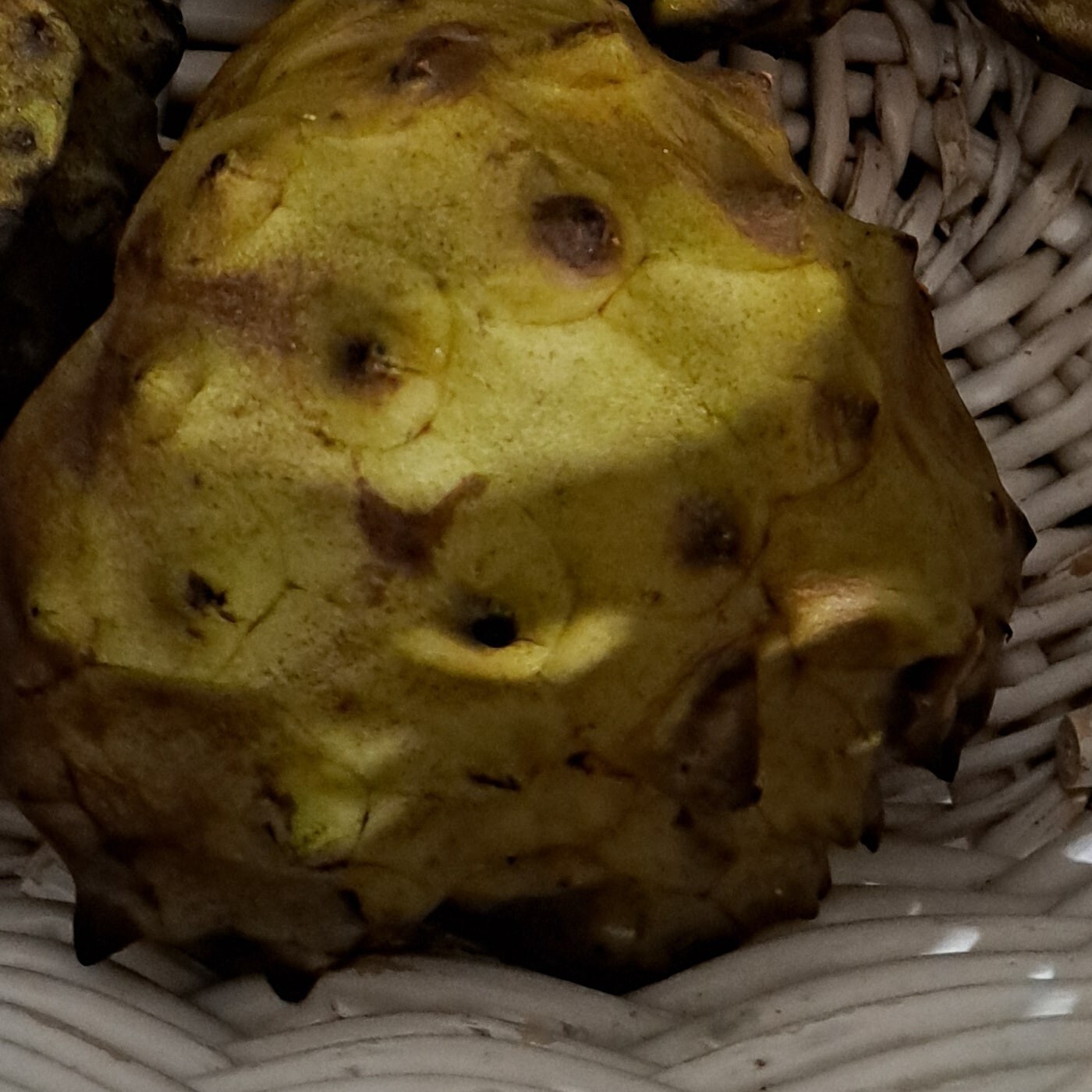 Cherimoya Exotic Fruit Tree 10 Seeds, HIGH In Iron Tastes Like a Pineapple/Pear!
