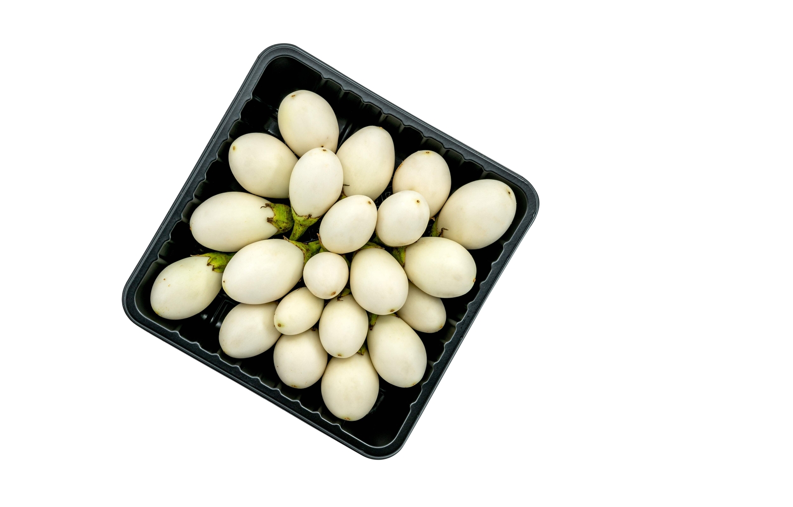 30 EASTER EGG PLANT Ornamental Easter Eggplant / Nest Egg Solanum Ovigerum Seeds