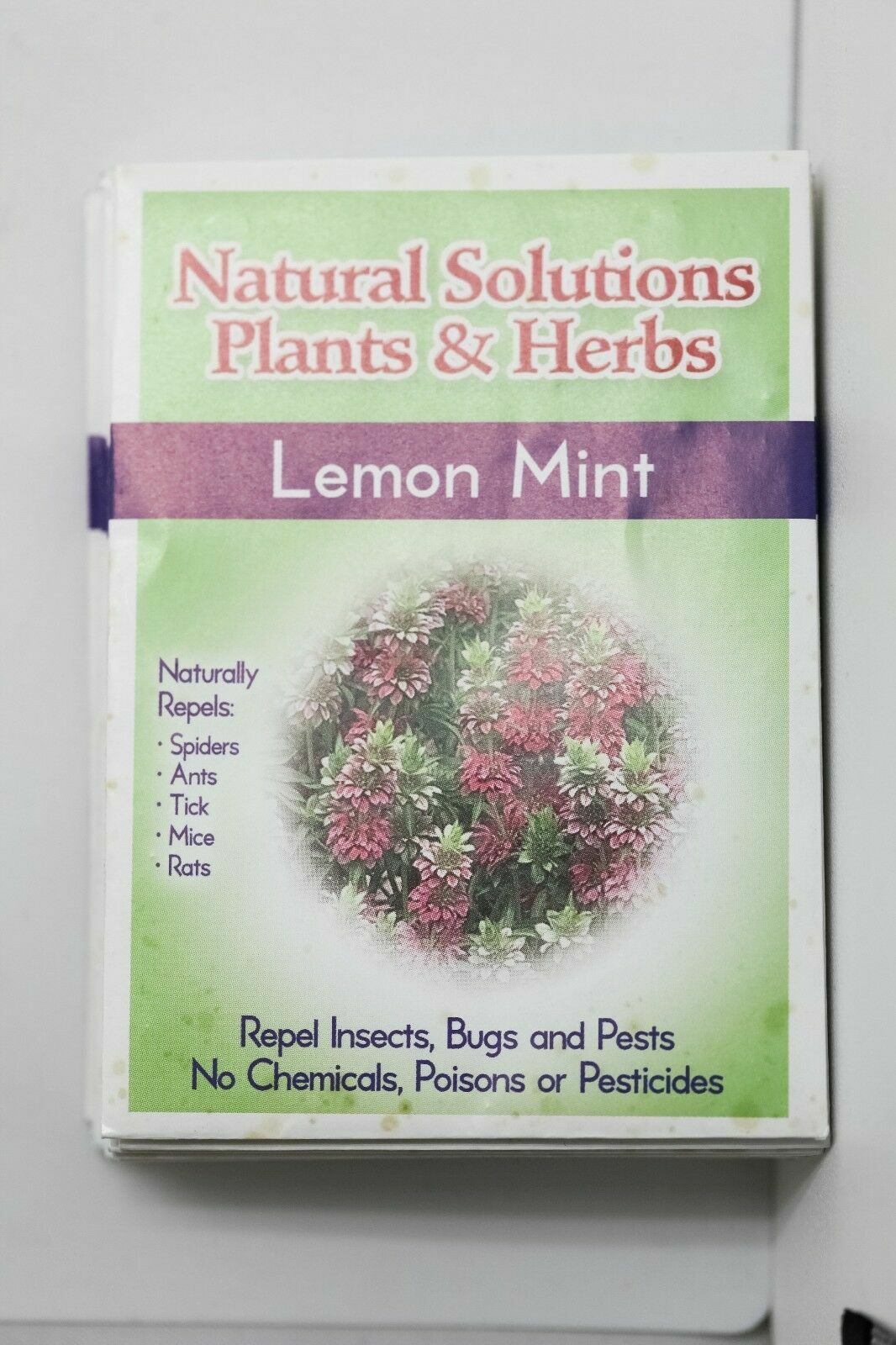 Natural Solutions Plants & Herbs Variety 10 pack of Seeds Holistic Remedies Pest