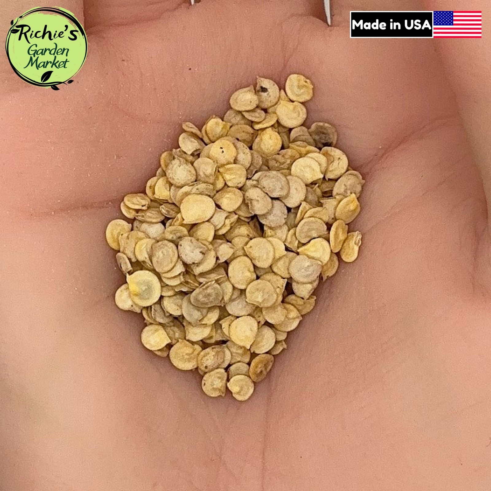 California Wonder Pepper Seeds, Large Bell, High Yield, Non-GMO, Free Shipping