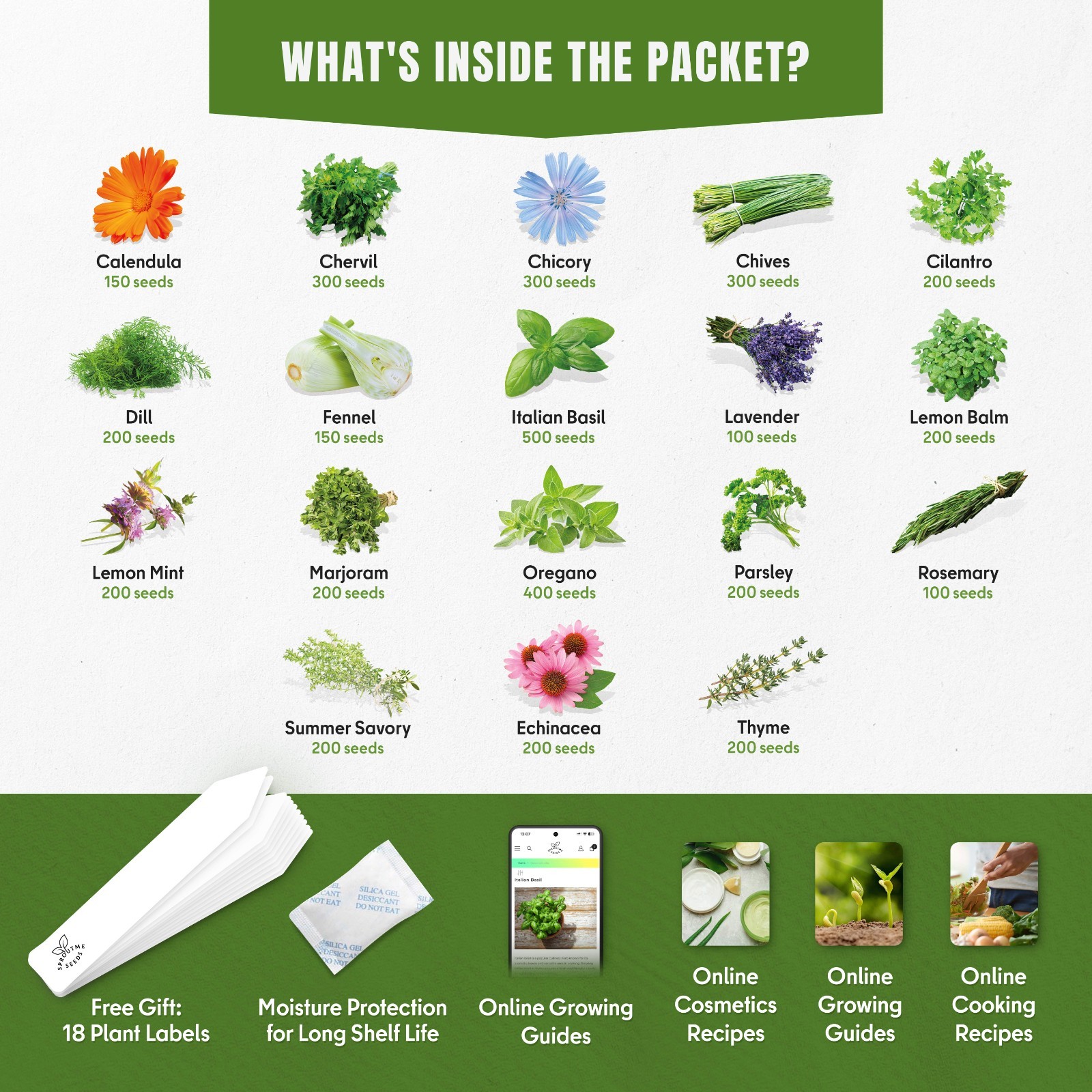 Culinary Herb Seed Kit 18 Varieties, 4100+ Seeds, Heirloom Non-GMO