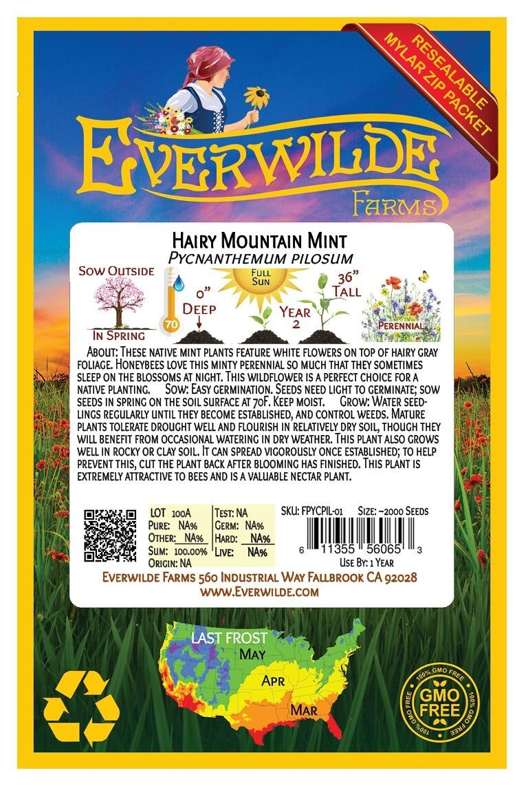 2000 Hairy Mountain Mint Wildflower Seeds – Everwilde Farms Mylar Seed Packet
