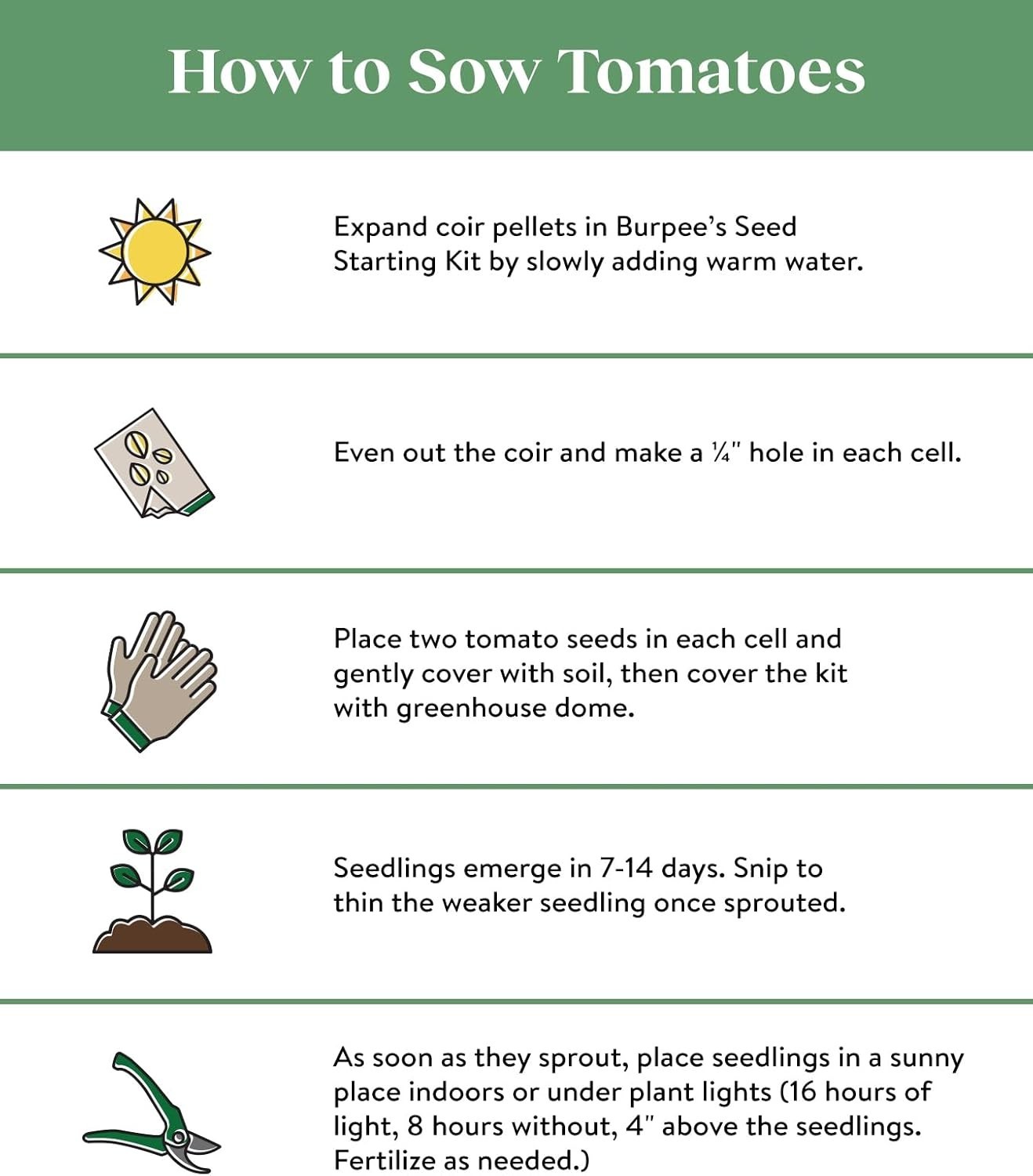 Grow ‘Bush Early Girl’ Hybrid Tomato – 30 GMO-Free Seeds for Flavorful Summer