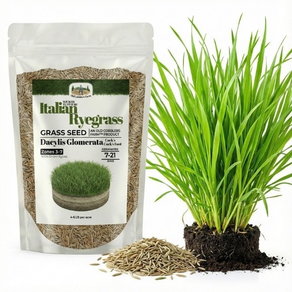 Old Cobblers Farm™ Wicked Tuff Turf Firkin Italian Ryegrass Seed – Fast Growth