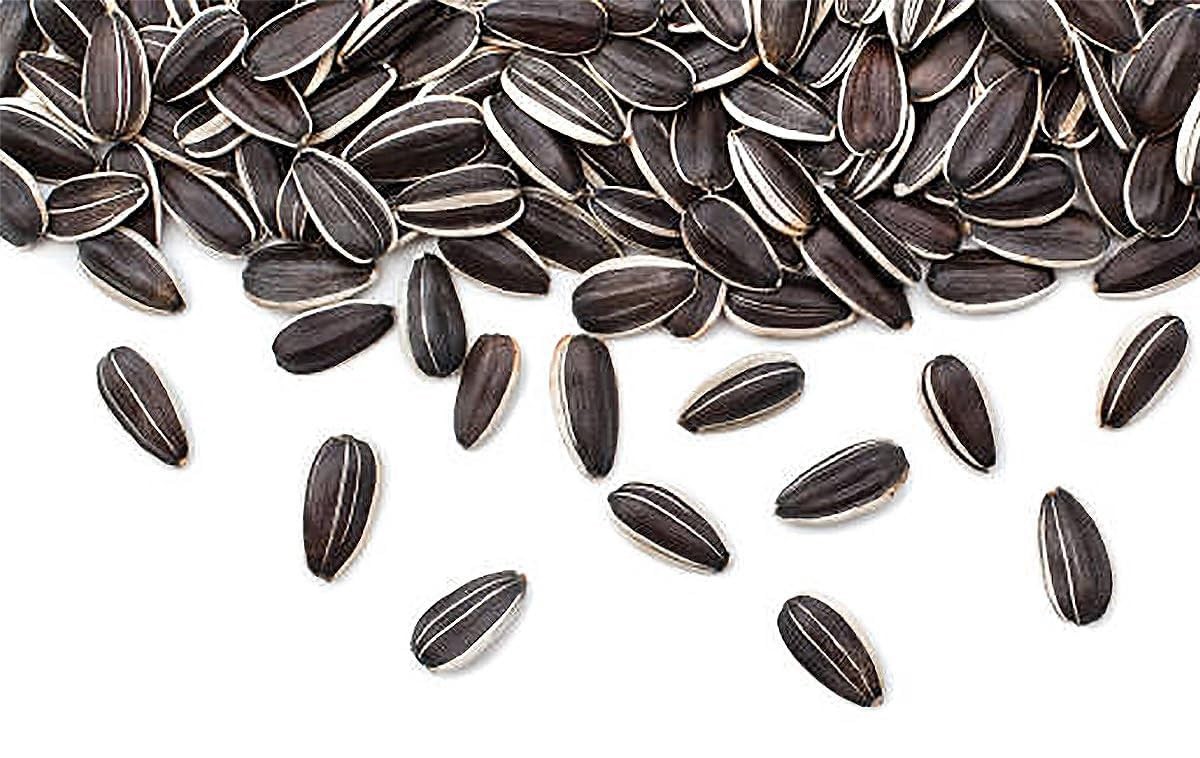 Giant Sunflower Seeds – Mammoth Grey Striped Seeds – Attracts Bees and Butter…
