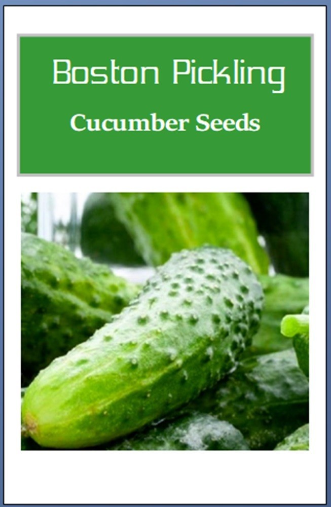 Boston Pickling Cucumber Seeds | NON-GMO | Heirloom | Fresh Garden Seeds