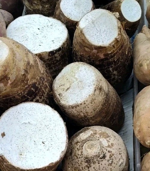 Malanga Coco yam 3 To 4 Pounds Product Of Mexico Or Nicaragua