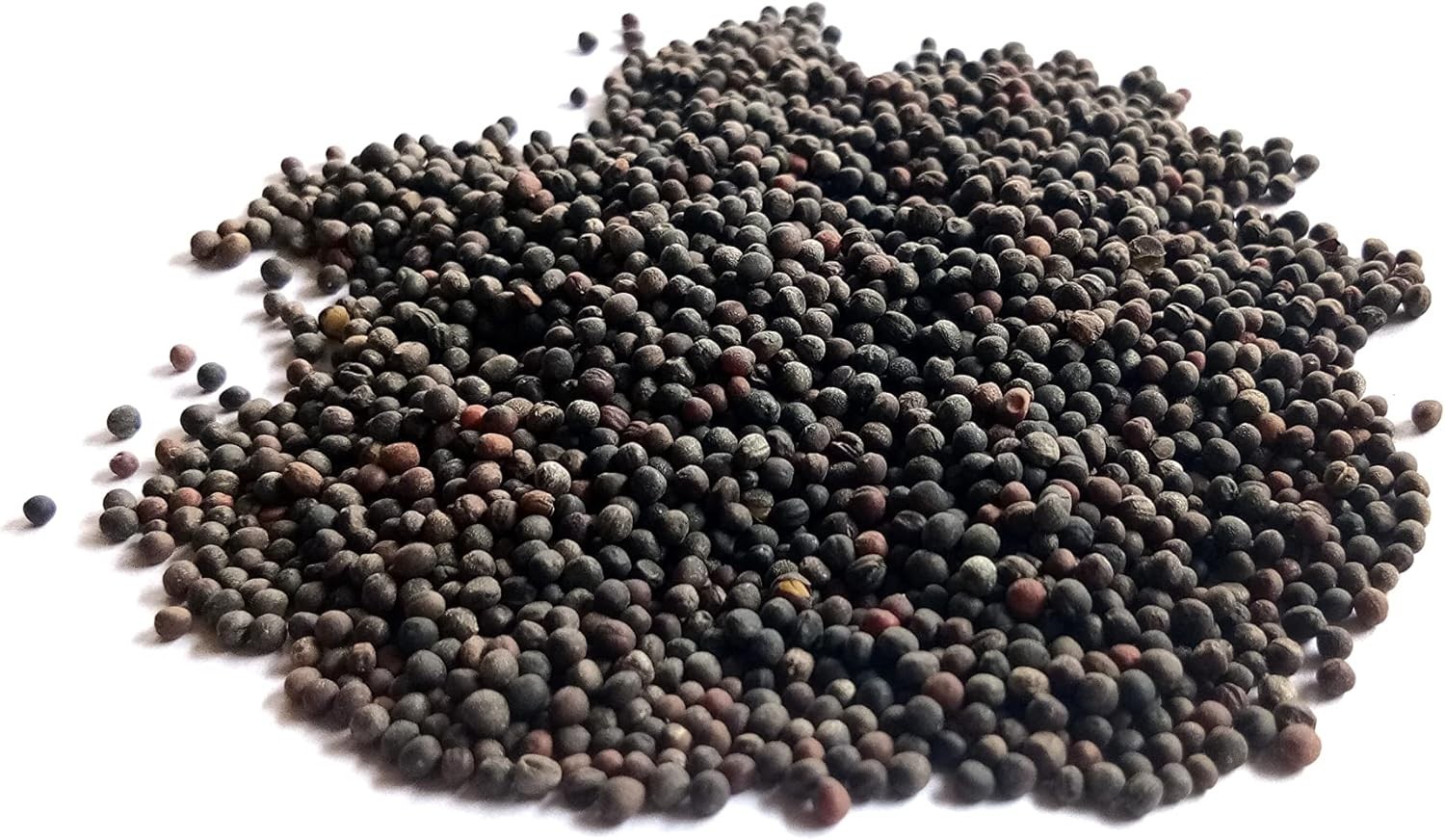 Organic Broccoli MICROGREEN Seeds | Heirloom Non GMO Sprouting Seeds