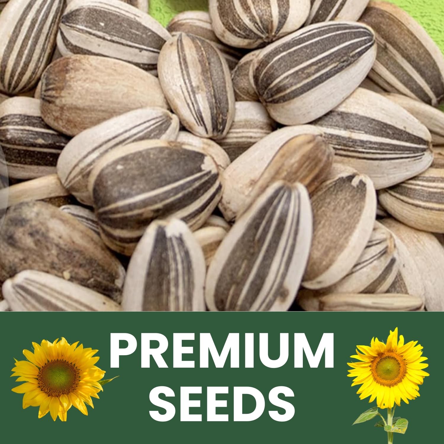 Large Grey Stripe Sunflower Seeds – 1,000 Count for Planting – 4 Ounce Packet