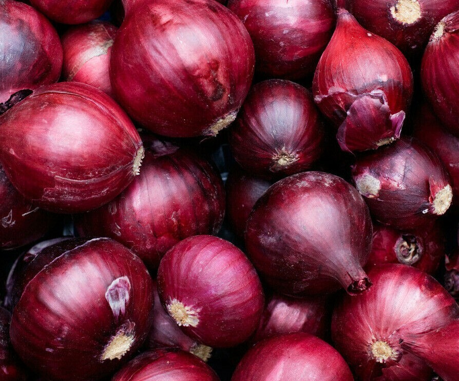 ONION SEEDS 250+ RED BURGUNDY allium VEGETABLE GARDEN CULINARY FREE SHIPPING