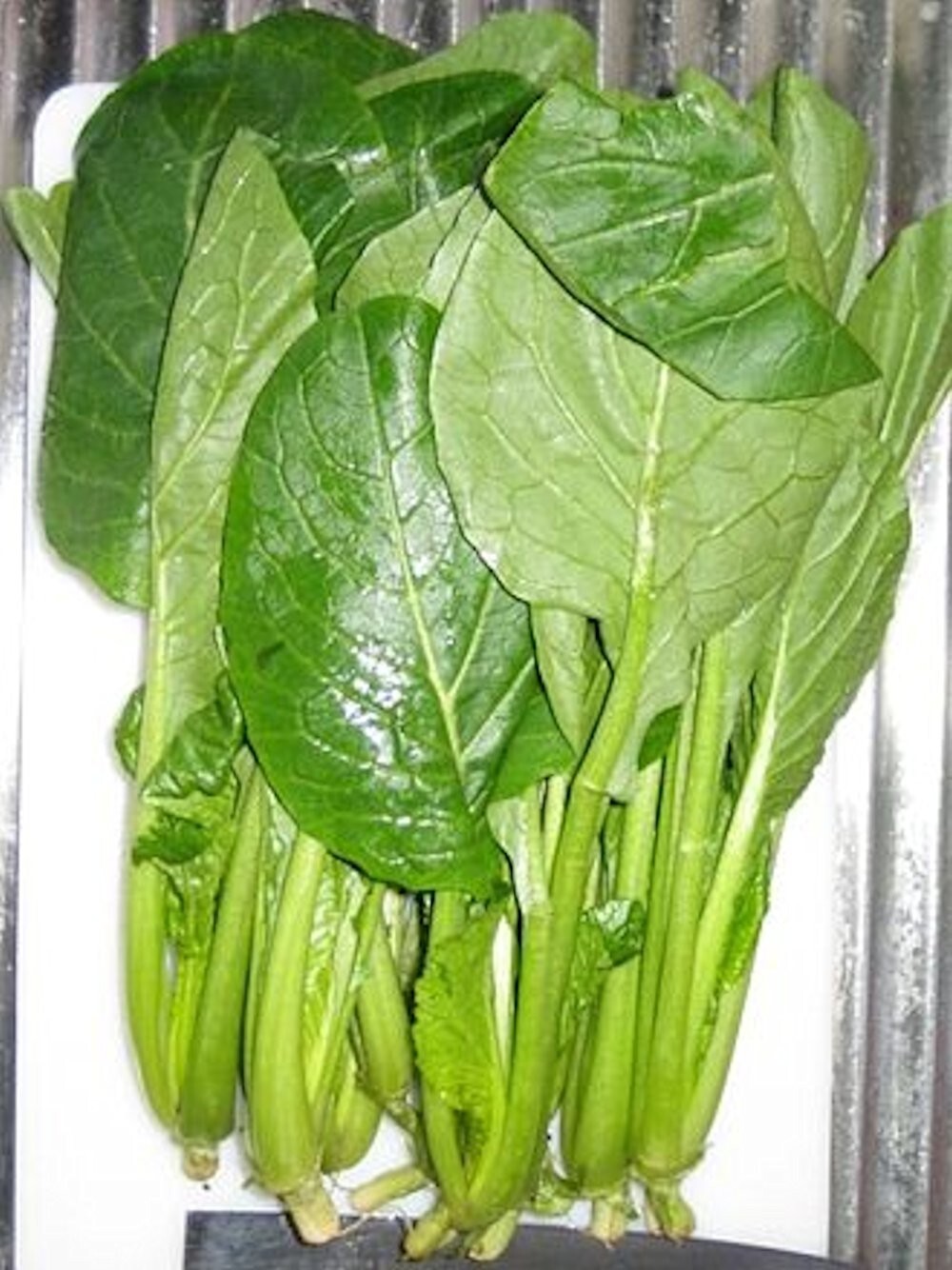 4000 Komatsuna Seeds, Japanese Green, Spinach Mustard, NON-GMO, FREE SHIPPING