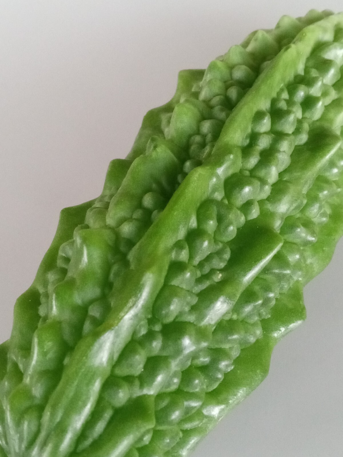 15 Chinese Bitter Melon Vegetable Gourd Squash Seeds 有机苦瓜种子 – Heirloom Variety