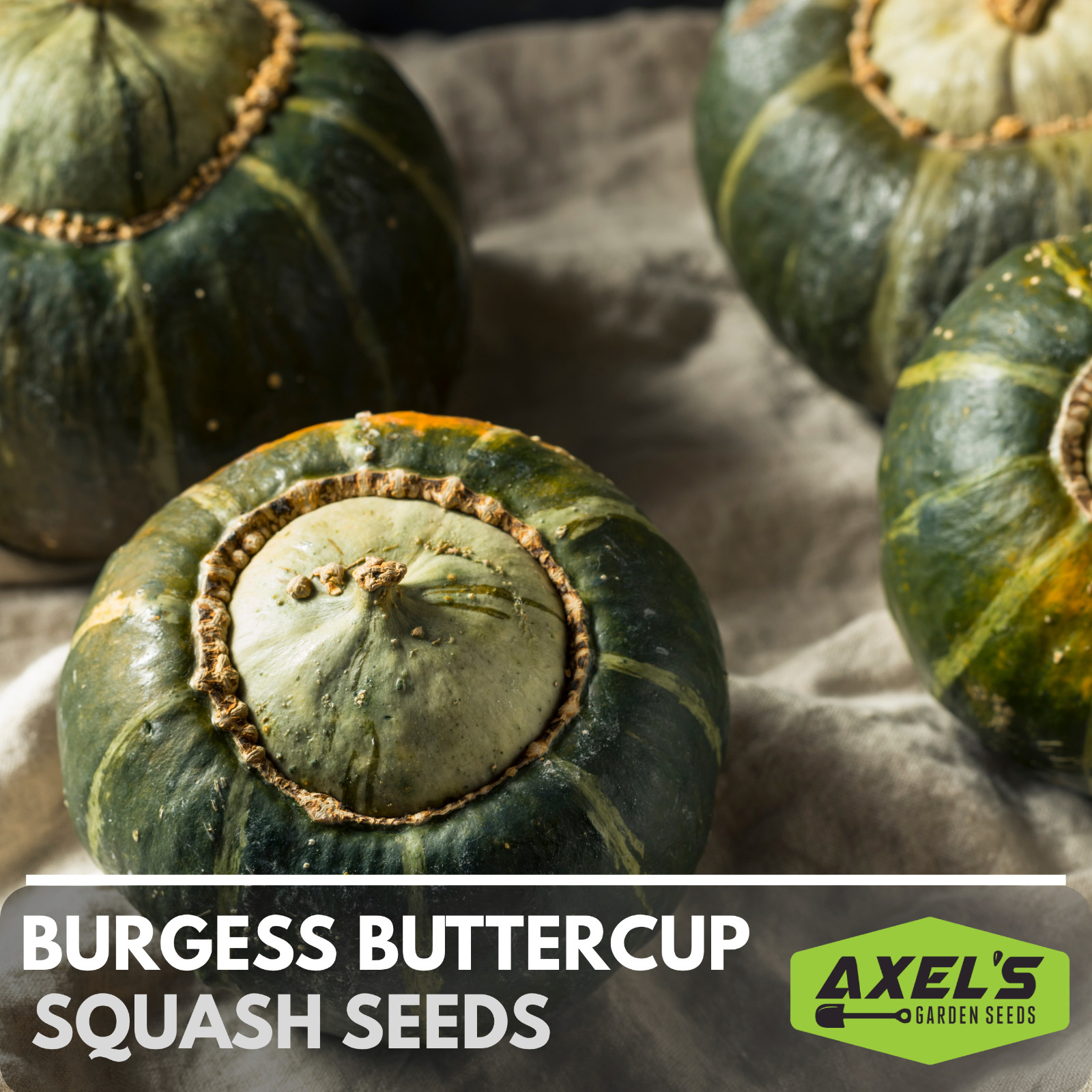 Winter Burgess Buttercup Squash Seeds | Heirloom Non-GMO | Fresh Vegetable Seeds