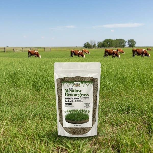 Old Cobblers Farm™ Wicked Tuff Turf Meadow Bromegrass – Fast-Growing Forage