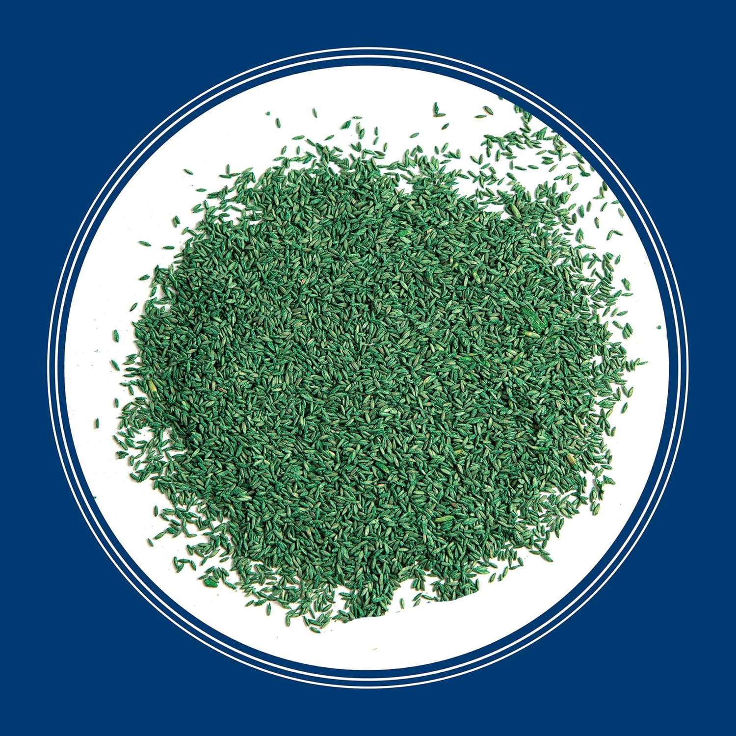 Smart Seed Kentucky Bluegrass Blend, 3 Lb, Kentucky Blue Grass Seeds for Lawn