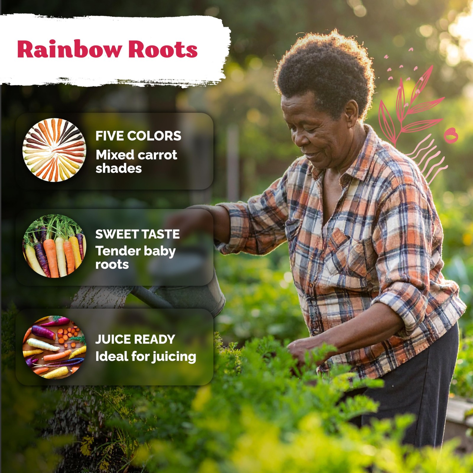 KVITER 2,000 Rainbow Carrot Seeds (Daucus Carota), 2 Pack