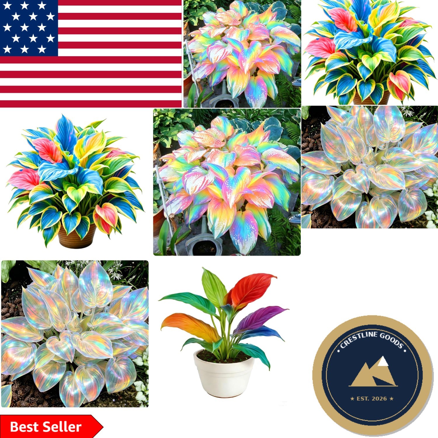 High Germination Hosta Seeds – 290+ Rare Perennials, Perfect for Shaded Pathways